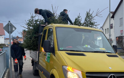 Christbaumaktion 2023