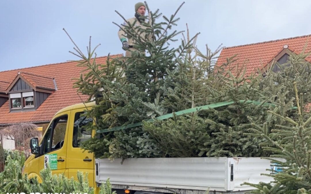 Christbaumaktion Pfadfinder Hechingen 2026